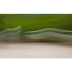 dailyPhoto37